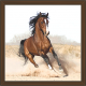 Horse Paintings (HS-3416)